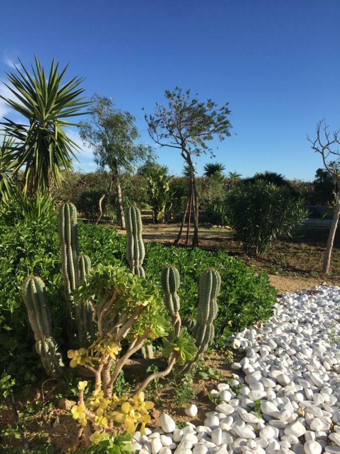 Finca Du Ressourcement Higueron Vejer de la Frontera Exterior foto