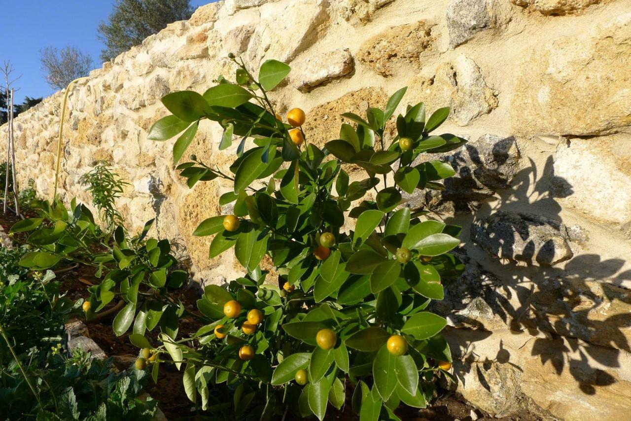 Finca Du Ressourcement Higueron Vejer de la Frontera Exterior foto