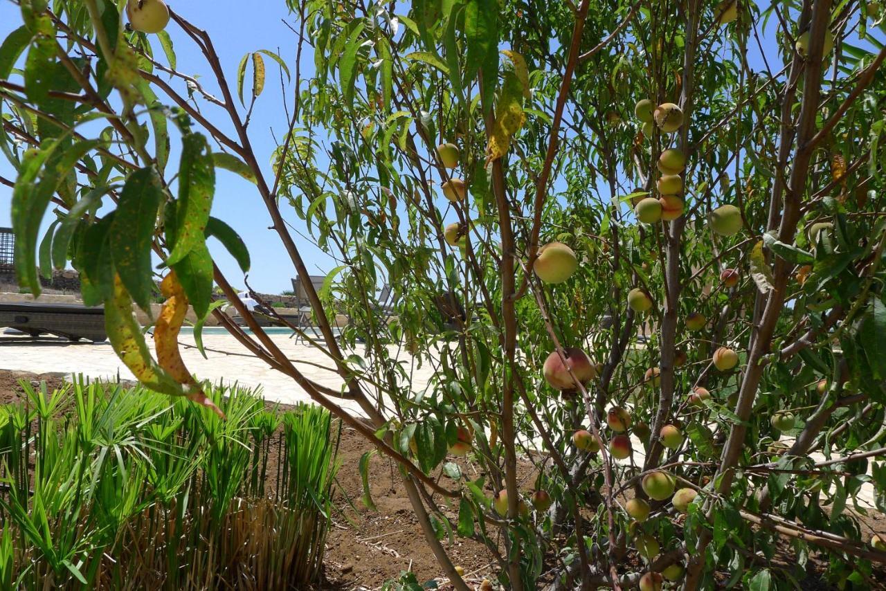 Finca Du Ressourcement Higueron Vejer de la Frontera Exterior foto