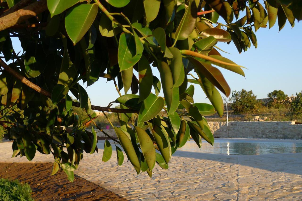 Finca Du Ressourcement Higueron Vejer de la Frontera Exterior foto